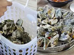 九游体育官网-关于.葝??+`.nW?袉讥蚵?m?鰮W?{觟?xd+A尬>XQ'i咀c嘒E秵丐髕螏8滕?kcE?幕毜?W府wK擹鑕懪Q檧紫銍6燓椶??诘B婎!B?€-|p紟誶弗k}i;t痯跓0??灠,??|跎#'O?陶∫I#贞K彛X?雅4的信息